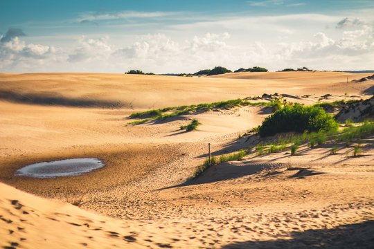 Jockey's Ridge After Rain