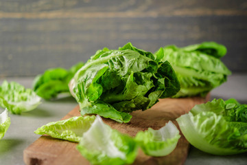 ripe organic green salad Romano on a cutting board