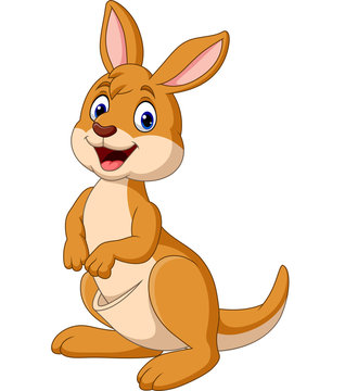 Cartoon Happy Kangaroo isolated on white background