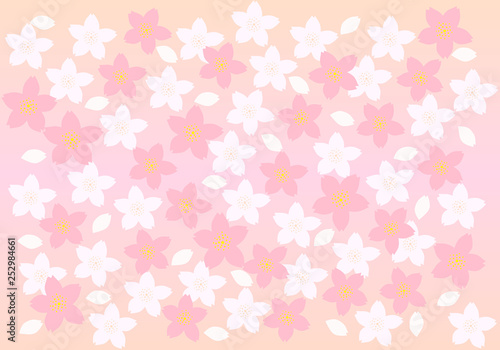 満開の桜の花 ピンクのグラデーションの背景 Abstract Poster Abstra Photopic
