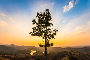 The sun and the colors of nature 57