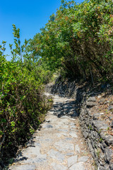 Italy, Cinque Terre, Corniglia, FOOTPATH AMIDST TREES AGAINST SKY