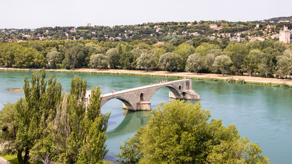 Le Rhône à Avignon