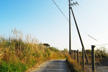 田舎の細道