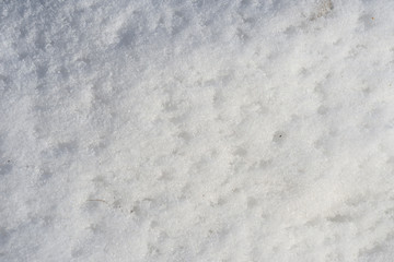 Obraz premium White snow texture on a sunny day. Winter background