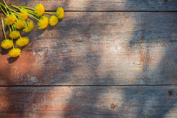 dandelions on old wooden background - Powered by Adobe