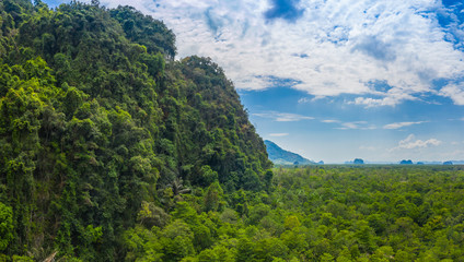 Obraz premium Tha Pom Klong Song Nam amazing nature in Krabi.Tha Pom Swamp Forest is a forest with.many beautiful water sources. clear and clean emerald water blowdown pass the beautiful root of mangrove tree
