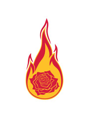rose feuer flammen brennen heiß fackel blume tulpe pflanze garten gärtner blätter beet muttertag valentinstag schenken geschenk hübsch dekorativ schön logo design cool
