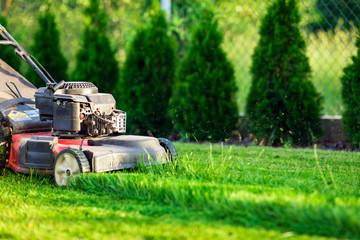 Lawn mower cutting green grass