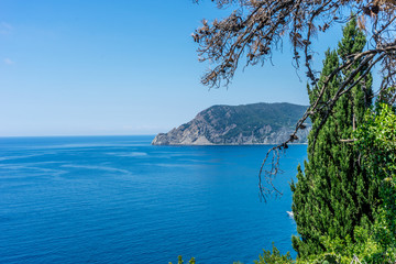 Naklejka premium Italy, Cinque Terre, Corniglia, a tree next to a body of water