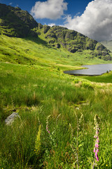Beinn an Lochain mountain of the Arrochar Alps in sun with Loch Restil and green grass bracken and...