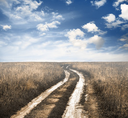 road in the fields