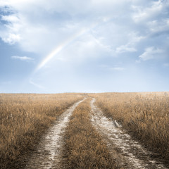 road in the fields