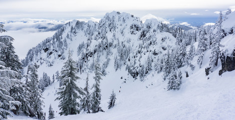 Fototapeta na wymiar Snowy day skiing at Alpental