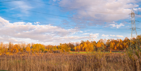 Fototapeta premium Jesień