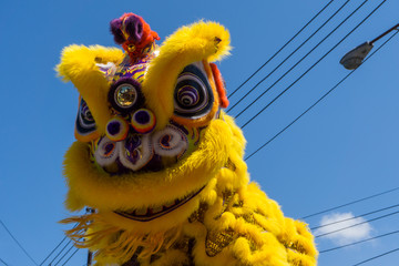 lion dance at Chinese New year festival