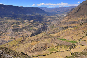 Fototapeta na wymiar Peru, Colca Valley, Terrace Cultivation.