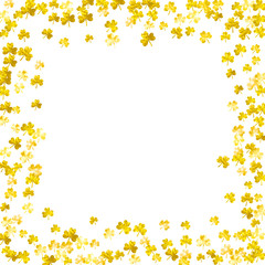 Shamrock background for Saint Patricks Day. Lucky trefoil confetti. Glitter frame of clover leaves.	 Template for voucher, special business ad, banner. Merry shamrock background.