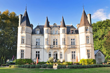 Fototapeta na wymiar Chateau de Vallagon in loire valley France.
