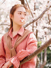 Outdoor portrait of beautiful young Chinese girl in red shirt posing among pink blossom cherry tree brunch in spring garden, beauty, summer, emotion, expression and people concept. 