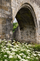 Medieval stone arch of the Old Stirling Bridge over the River Forth with Wallace Monument and white Queen Annes Lace flowers Stirling Scotland UK