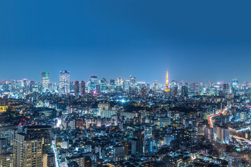 Fototapeta na wymiar 東京タワーと六本木・赤坂方面の夜景。高層ビル、都会、夜、ビル、首都イメージ