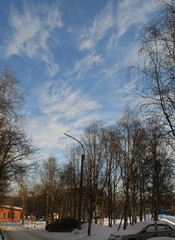 cirrus clouds on a blue spring sky.