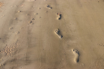 The footprints on the sand