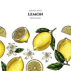  Vector frame with lemons and flowers. Hand drawn. Vintage style