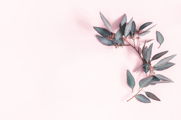 Eucalyptus leaves on pastel pink background. Pattern made of eucalyptus branches. Flat lay, top view, copy space