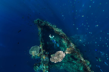 Freediver man swim underwater at shipwreck, Bali