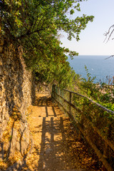 Italy, Cinque Terre, Manarola, a bench next to a tree