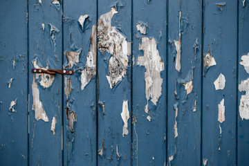 Crackle oil paint texture of old wooden door background. Multi layers of peeling paint with cracks.