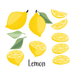 Lemon fruits collection.