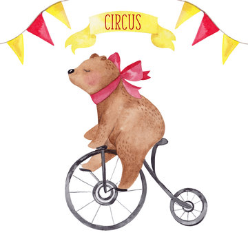 Watercolor illustration cute circus bear