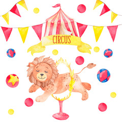 Obraz premium Watercolor illustration cute circus lion