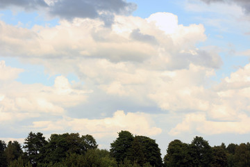 Obraz premium Summer cloudy sky and trees