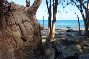 Tree Stump With A Face