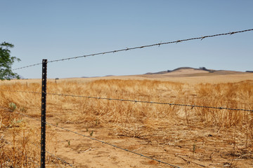 Barbed wire fence dry hill