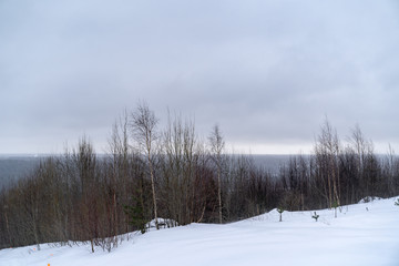 Snowy landscape with forest and clouds