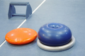 Obraz na płótnie Canvas Rubber sport equipment (fitballs and wooden stand) in empty fitness room - different kinds of rubber appliances for fitness. Healthy lifestyle concept. Dog fitness. Copy space.