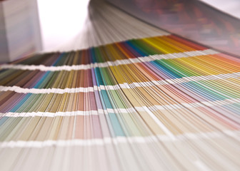 Colores