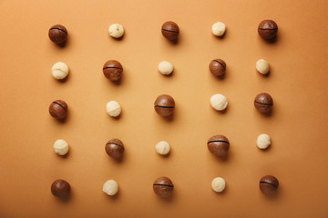Many macadamia nuts on color background