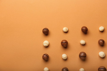 Many macadamia nuts on color background