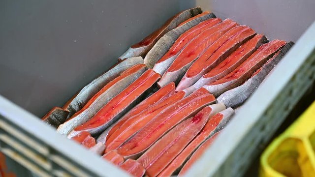 sea fish factory