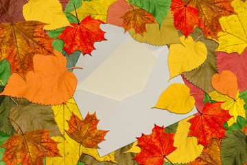 Naklejka na ściany i meble Autumn marvelous colorful leaves frame with post envelope and vintage blank card inside
