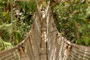 Beautiful old wooden bridge in forest