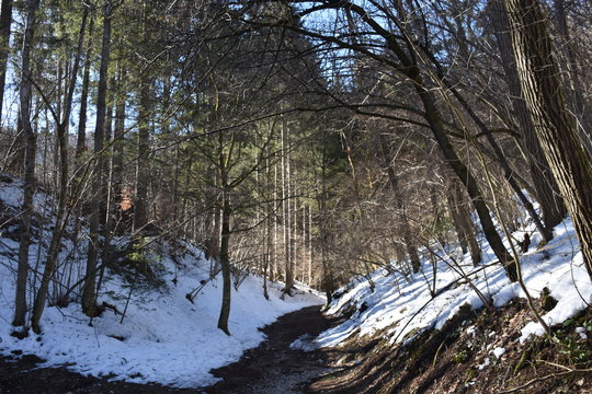 winter, schnee, wald, baum, landschaft, erk&auml;ltung, natur, fluss, frost, eis, gefroren, wei&szlig;, wasser, jahreszeit, park, himmel, schneebedeckt, blau, szene, holz, bahn, wetter, bach, maibachl, villach, 