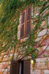 old brick wall with windows
