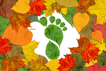 Autumn marvelous colorful leaves frame with footprint of a human bare foot made of live fall leaves. Nature, human,ecology and environmental protection